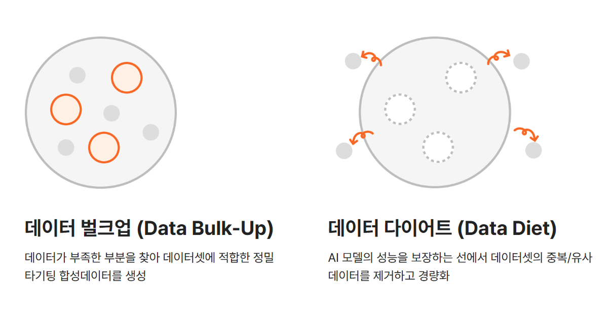 데이터 벌크업, 데이터 다이어트