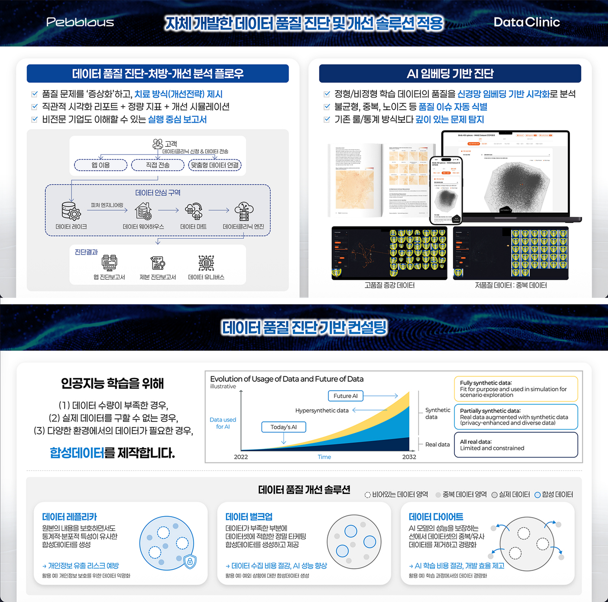 페블러스 데이터클리닉 컨설팅 - 진단 - 처방 - 개선 과정