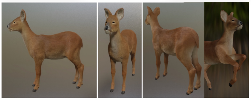 고라니 합성데이터 생성 성공!