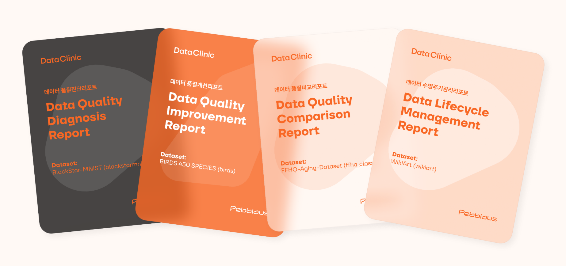 데이터 품질 진단, 품질 개선, 품질 비교, 수명 주기 관리 리포트