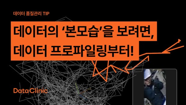 데이터의 '본모습'을 보려면, 데이터 프로파일링부터!